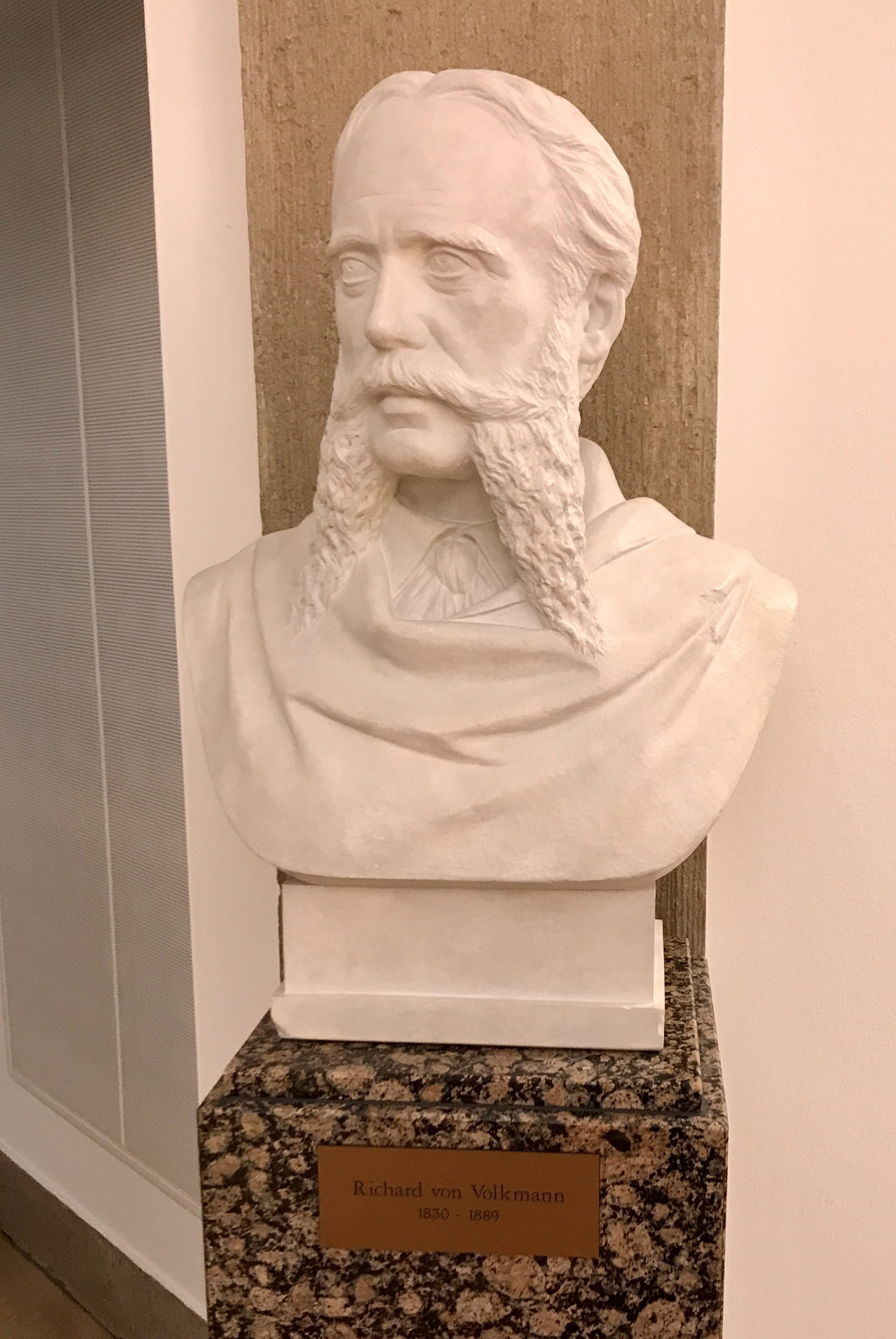 Richard%20von%20Volkmann%27s%20bust%2C%20Langenbeck-Virchow-Haus%2C%20Berlin%20%28by%20Luca%20Ambrosio%29.jpg